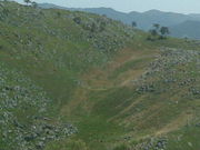 ̏Hg䎩Rώ@Hm|Rt߁n̓eʐ^1