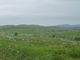 takaさんの秋吉台自然観察路（若竹山付近）の投稿写真1