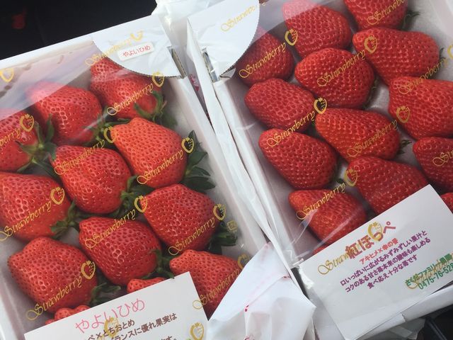 ��悢�Ђ߂ƍg�ق���_�������t�@�~���[�_��