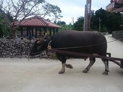 ςς̔dRόtF[ւ̓eʐ^1