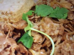 }񂳂̂ȂKVXւ̓eʐ^1