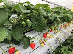 ͂̔_K[f Rr_ւ̓eʐ^1