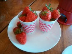 yasůό_߂̂ւ̓eʐ^1