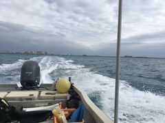 ف[񂳂̐Ί_FLOWFISHւ̓eʐ^1