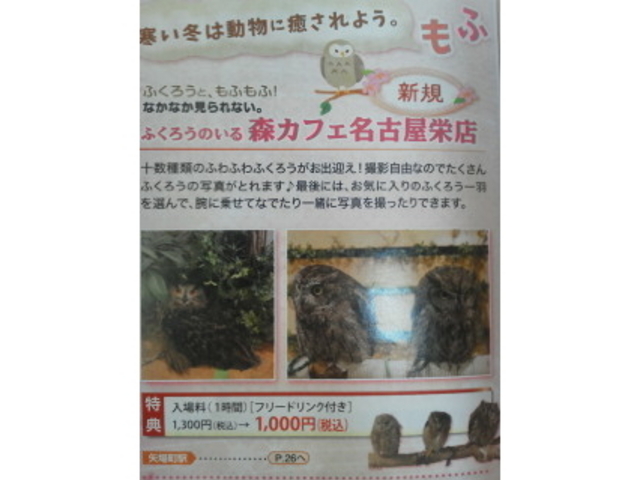 hj`GRՓT_ӂ낤̂XJtFÉhX