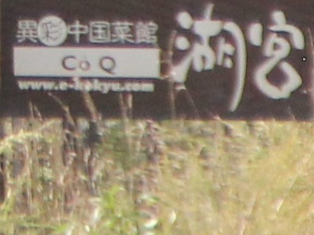 Gḧٍʒ؊ ΋{̓eʐ^1