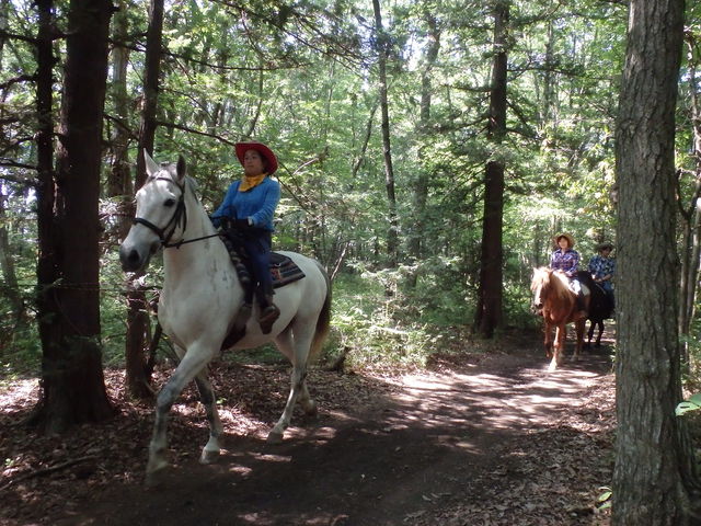 �O�擹��_��a�z�[�X�p�[�N