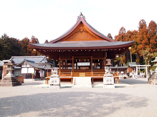 ���{�{�q�a_�c���_��