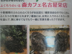 傤̂ӂ낤̂XJtFÉhXւ̓eʐ^1