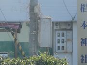 Gh̐{_Ёȋ卑܁j̓eʐ^1