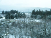 䂤񂳂̌̂QcLOق̓eʐ^1