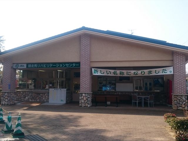 JRA�n�̉����t_�����z��