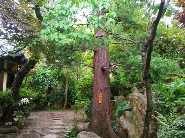 fGȕ͋CoĂ܂B_قƂ@c