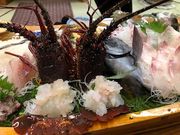 邿񂳂̉򖯏h@͂Ђۂ̓eʐ^1