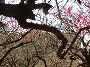 ڂ肳̔~юO̔~̓eʐ^3