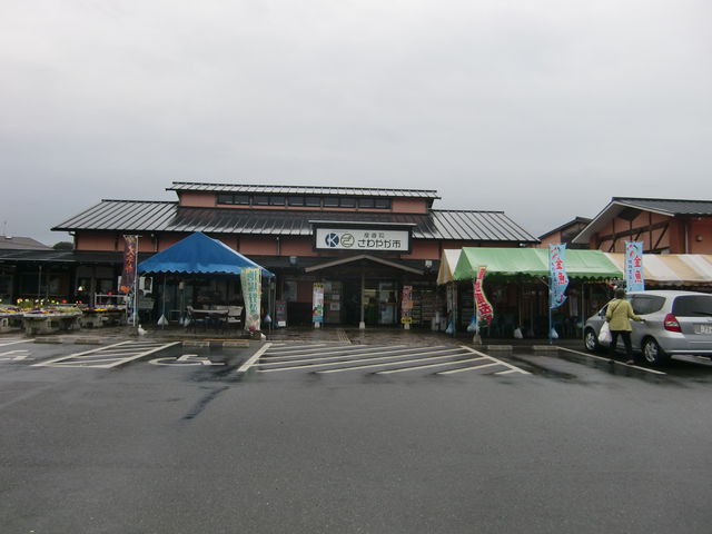 Ԃ񂳂̂₩sE啽̓eʐ^1