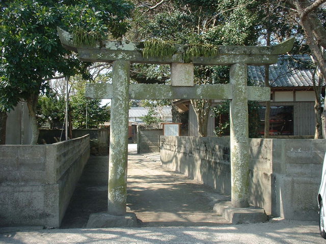 �Ԃ���񂳂�̑�є����Ђ̓��e�ʐ^3