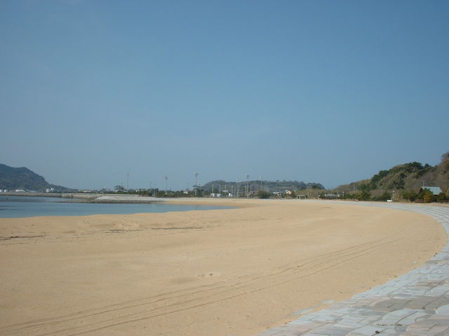 ���l_�P���C������