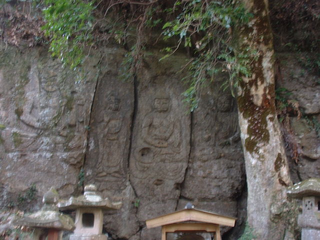 �Ԃ���񂳂�̓�{���R���A���s���R���̓��e�ʐ^1