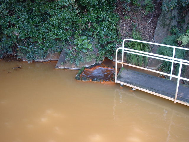 �Ԃ���񂳂�̔��q������̓��e�ʐ^2