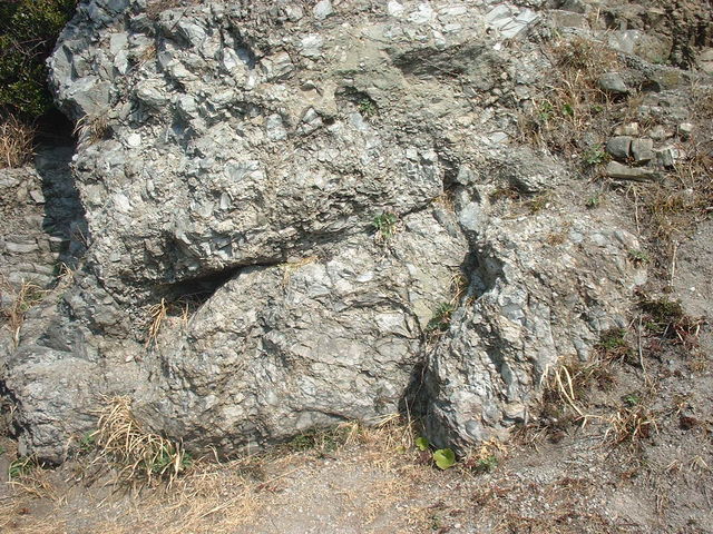 �R_���j�΂̒f�R