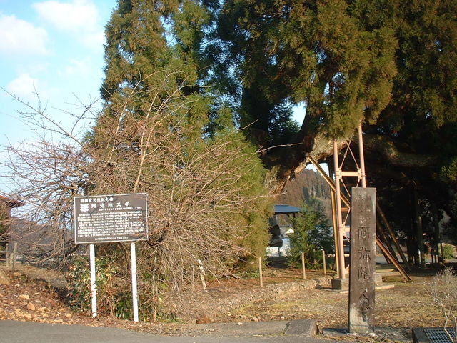 �ē���_����ɐ�