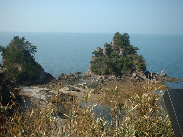 Ԃ񂳂̊ωuP̍jΎYnv̓eʐ^4