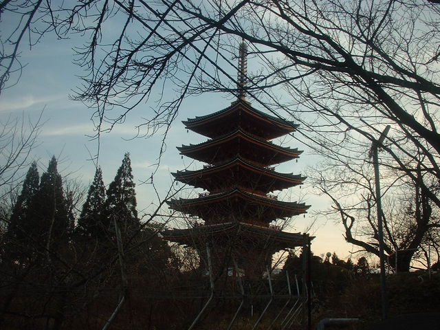 Ԃ񂳂̐[܏d̓̓eʐ^1