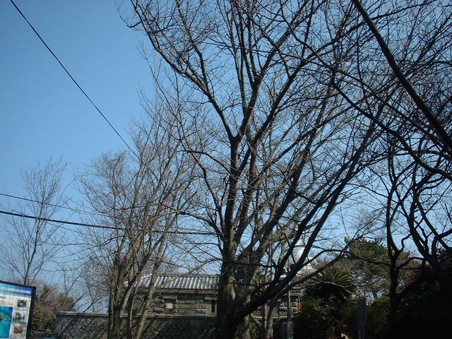 �Ԃ���񂳂�̕P������̍��̓��e�ʐ^3