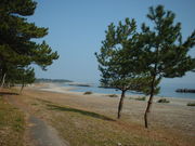 Ԃ񂳂̍ÍC݂̓eʐ^2