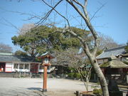 �Ԃ���񂳂�̑�є����Ђ̃N�X�̓��e�ʐ^1