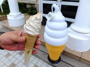 ɂ[B̓̉w 悪񂷔̓eʐ^2