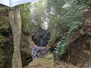 Ԃ񂳂̊≮̑̓eʐ^1