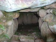 Ԃ񂳂̌PtRÕ̓eʐ^1