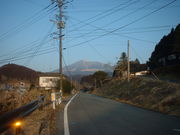 Ԃ񂳂̗NWRixmj̓eʐ^1