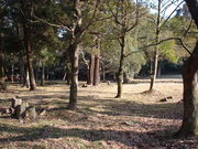 �Ԃ���񂳂�̖��Վ��Ղ̓��e�ʐ^3