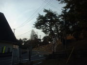 Ԃ񂳂̉ƑsuS@v̓eʐ^2