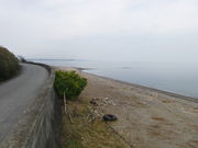 Ԃ񂳂̋gxC݂̓eʐ^2