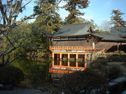 Ԃ񂳂̉F_{뉀̓eʐ^2