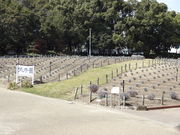 񂳂̍rqK[fvŨx_[̓eʐ^1