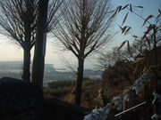 Ԃ񂳂̉Ð_Ђ̓eʐ^2