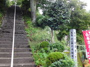 ���ǁ[����̗����R���V���̓��e�ʐ^1