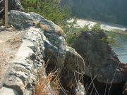 �Ԃ���񂳂�̍��j�΂̒f�R�̓��e�ʐ^2