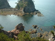 Ԃ񂳂̊ωuP̍jΎYnv̓eʐ^1