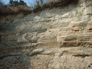 �Ԃ���񂳂�̑�C�̃R���{�����[�g���~�i�̓��e�ʐ^1