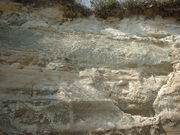 �Ԃ���񂳂�̑�C�̃R���{�����[�g���~�i�̓��e�ʐ^2