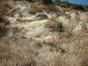 �Ԃ���񂳂�̑�C�̃R���{�����[�g���~�i�̓��e�ʐ^3