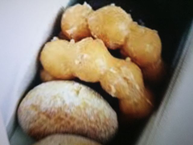 eCNAEg܂_~X^[h[icwVbv