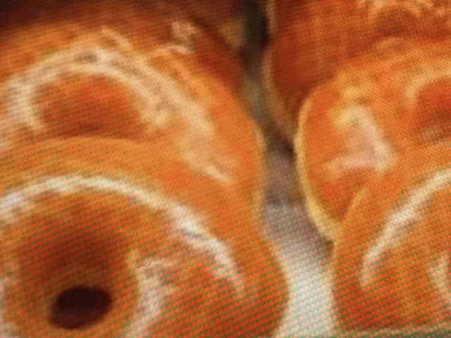 ~X^[h[ic_~X^[h[icVbv