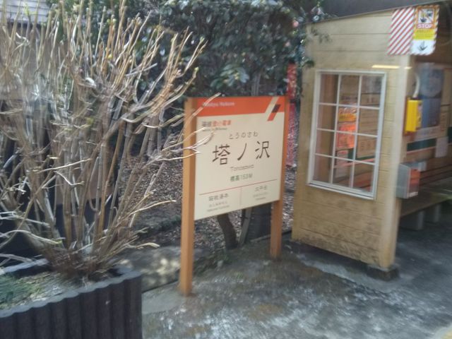 [̐̍Ŋw͔oRSmw̉D炷B_[̐